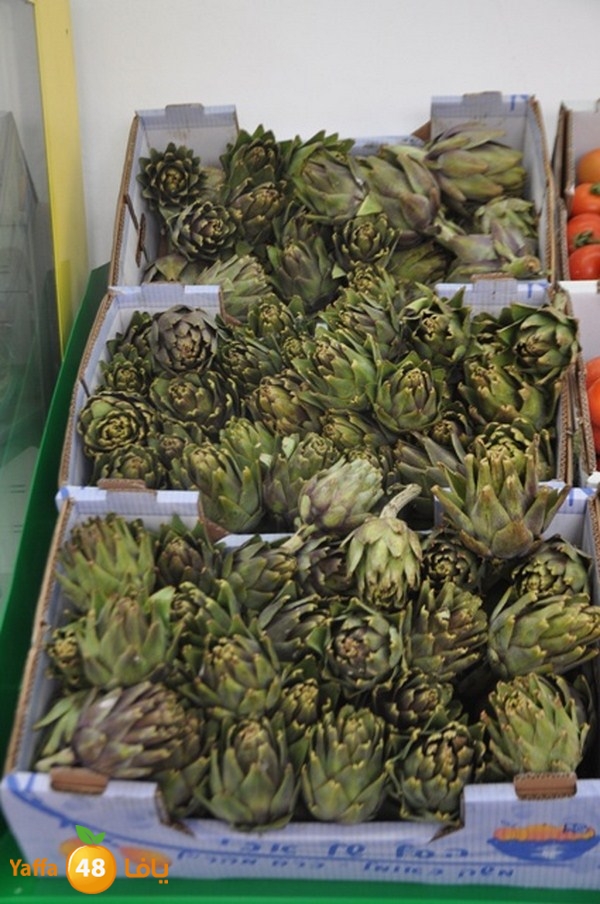 souq yaffa 0123 (31).JPG